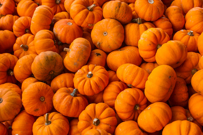 ハロウィンのレンズはなぜおもちゃではないのか