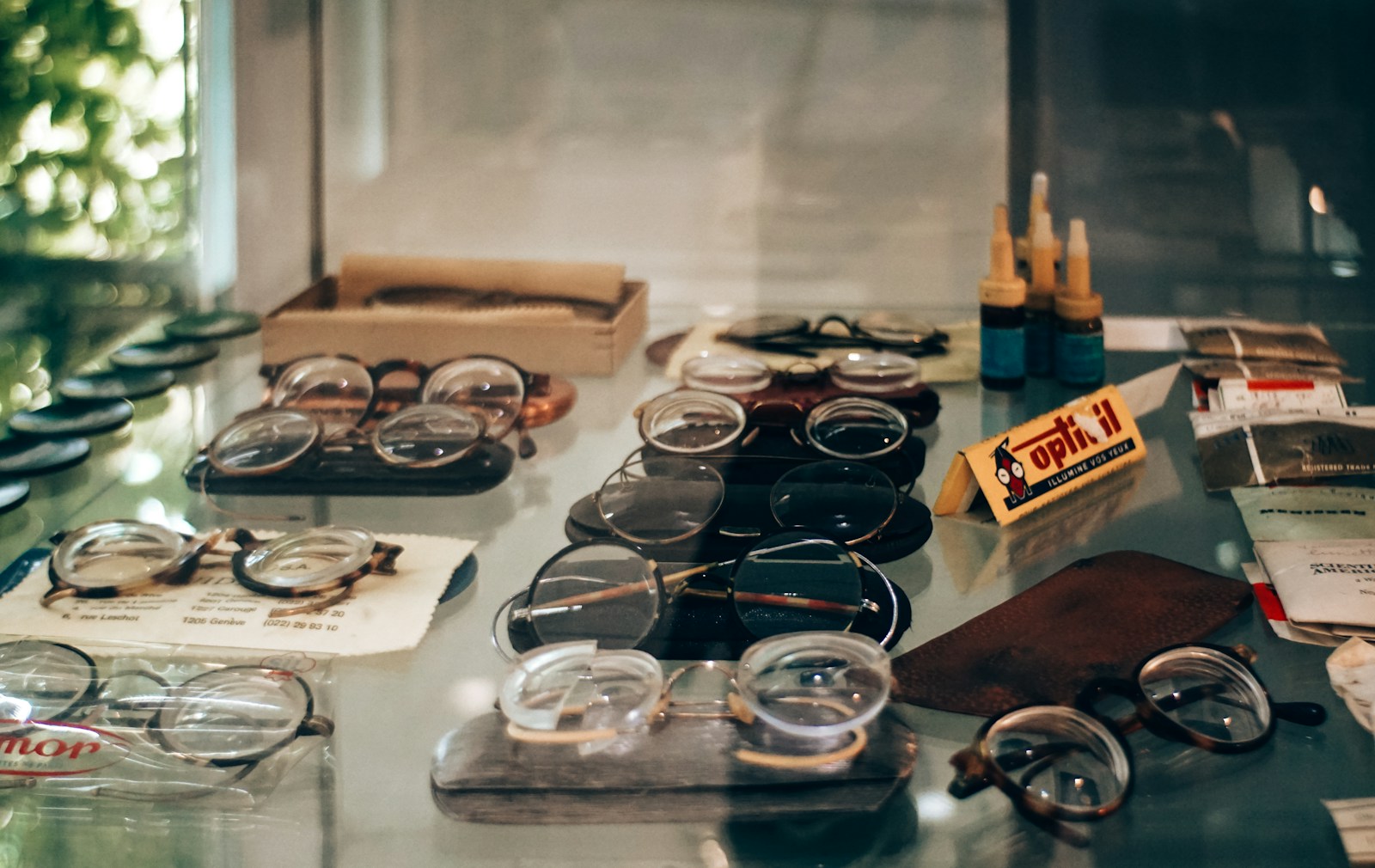 How a Lens That Covered the Whole Eye Shrank to the Size of an Iris
